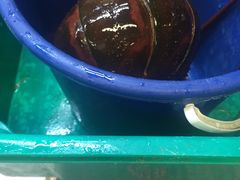 -海上人家The Sea Food Paradise Restaurant & Bar