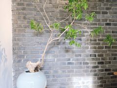 -曲廊院(东四十一条店)