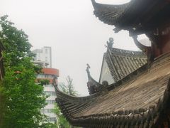 -长春观