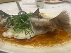 -稻香酒家·35年老字号(侨光店)