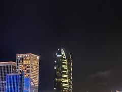 -万绿园