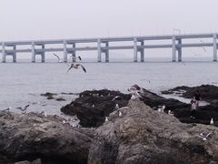 -黑石礁公园