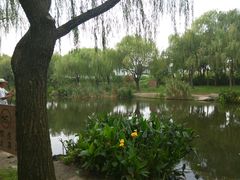 -新江湾城公园