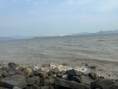 -深圳湾公园(南山区)