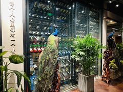 -云海肴汽锅鸡·云南小炒(天津国金汇店)