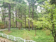 -黑龙江省森林植物园
