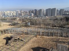 -青藏高原野生动物园
