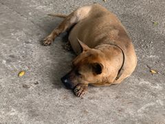 -胜记士多小食店