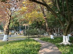 -四川大学(望江校区)