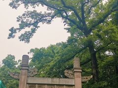 -灵谷景区