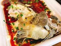 石斑鱼-盒马鲜生(悦峰店)