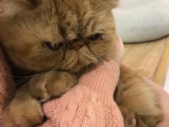 -猫和宫(六道口店)