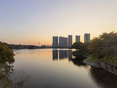 -广东花都湖国家湿地公园