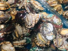 小鲍鱼-盒马鲜生(皇庭广场店)