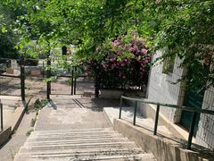-风车面包