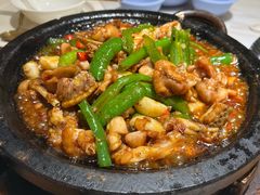 馋嘴牛蛙-茉莉餐厅(包河万达店)
