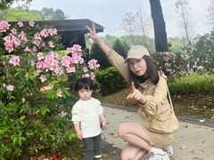 -王借岗森林公园