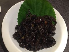 -北李妈妈菜·海肠捞饭(高新万达店)