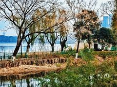 -金银湖国家城市湿地公园