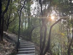 -火炉山森林公园
