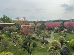 -盈香心动乐园
