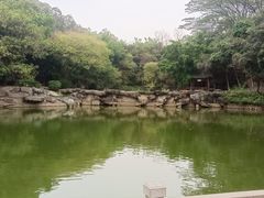 -榴花公园