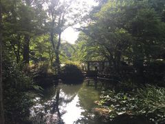 -井之头恩赐公园