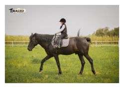 -贯日漂亮宝贝儿童摄影