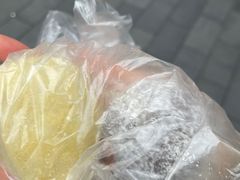 -沈大成(南京东路店)