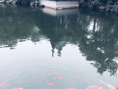 -上海皇廷花园酒店·西餐厅·自助餐