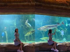 -华夏文旅海洋公园