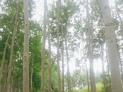 -仁和公园(顺义区)