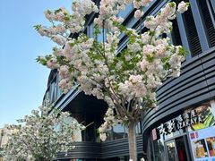 -万寿斋(山阴路店)