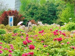 -郑州植物园