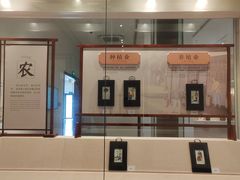 -二沙岛-广东华侨博物馆