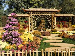 -上海共青森林公园