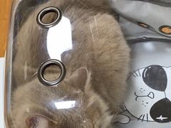 -北京观赏动物医院·24小时大型综合·猫专科·异宠专科