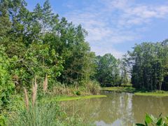 -桤木河湿地公园