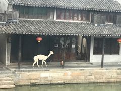 -西塘万安桥农家菜