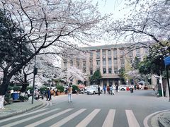 -武汉大学-樱园