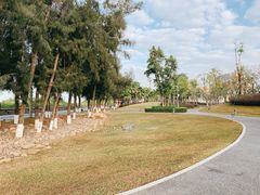 -宝安西湾红树林湿地公园