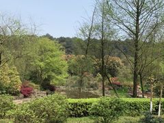 -铁山坪森林公园