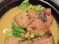 -辛香味烧鱼馆·非遗技艺·排骨红烧肉(光谷医药园店)
