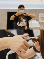 -TONI&GUY