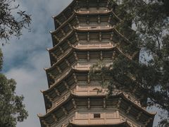 -深圳国际园林花卉博览园