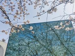 -龙美术馆(西岸馆)