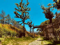 -长兴岛郊野公园农场食堂
