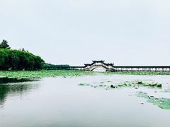 -祝甸砖窑文化馆