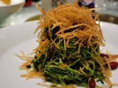 巧拌豆苗-四季民福烤鸭店(王府井灯市口店)