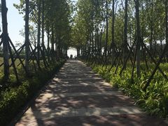 -青岛西海岸隆和福朋喜来登酒店